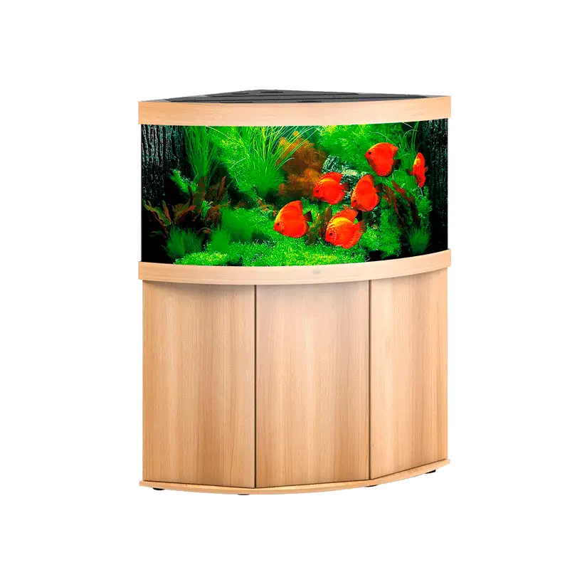 JUWEL - Trigon 350 LED Light Oak - Voll ausgestattetes Aquarium - Kostenlose Lieferung