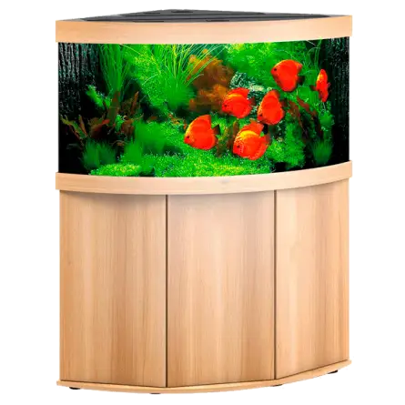 JUWEL - Trigon 350 LED Light Oak - Voll ausgestattetes Aquarium - Kostenlose Lieferung