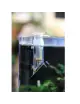 DENNERLE - Dosator - Fertilizer dispenser for aquariums