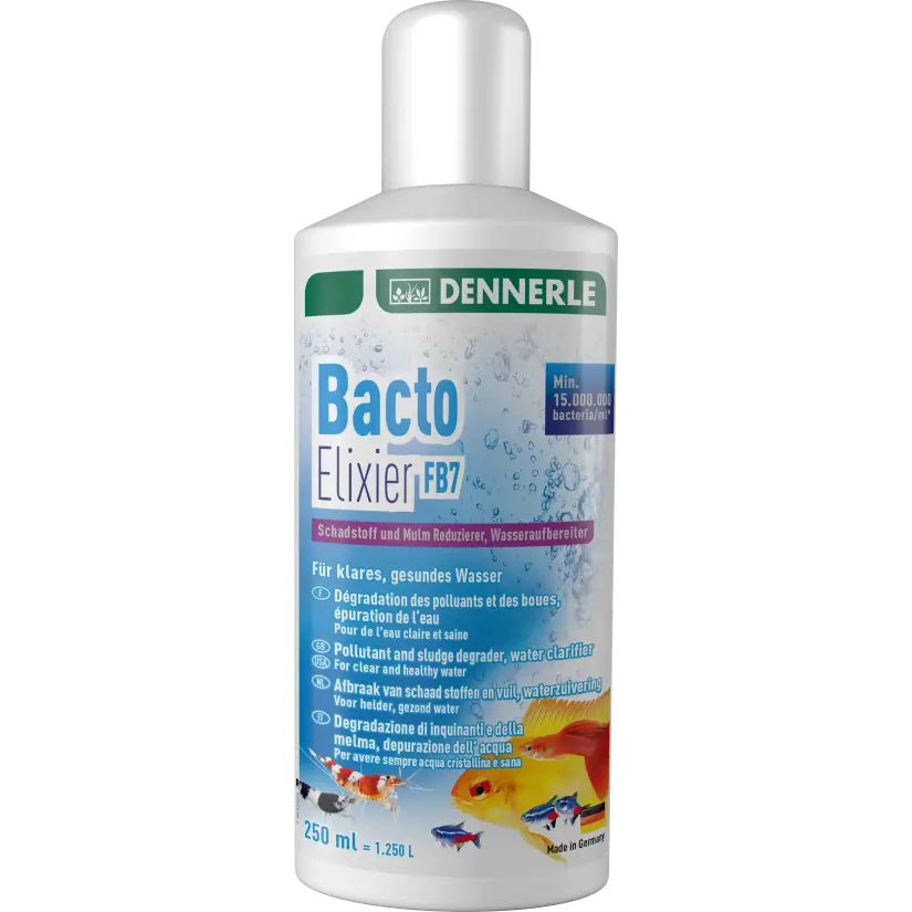 DENNERLE - Bacto Elixier - 250ml - Bactérias de filtração