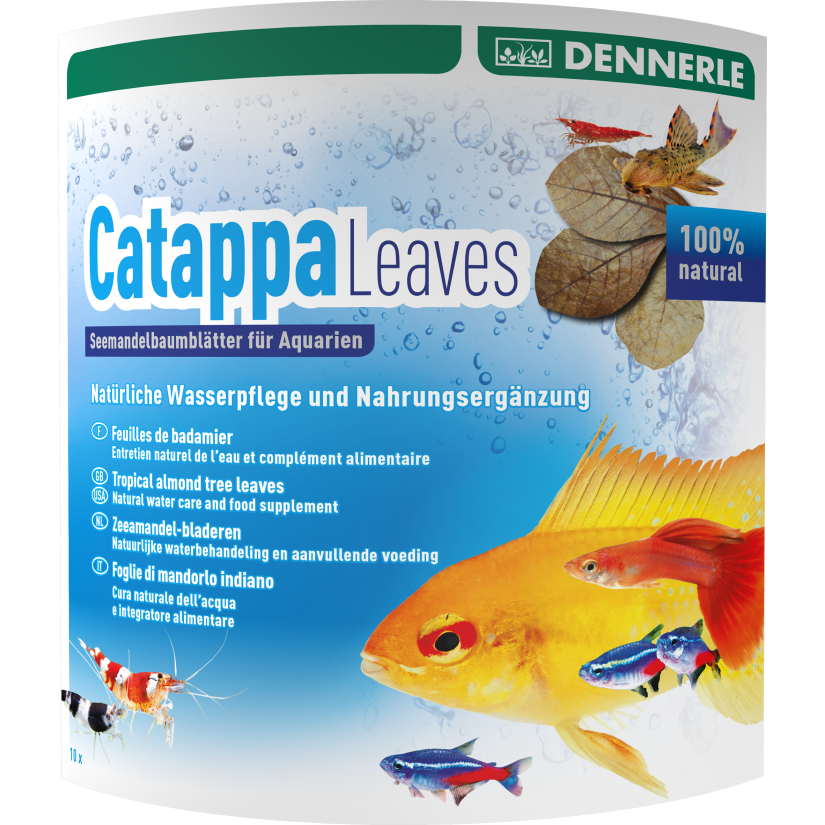 DENNERLE - Catappa Leaves - 10 Pces - Badamier Leaves