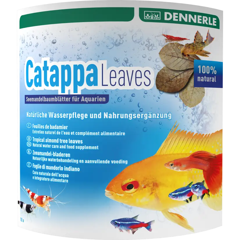 DENNERLE - Folhas de Catappa - 10 unidades - Folhas de Badamier