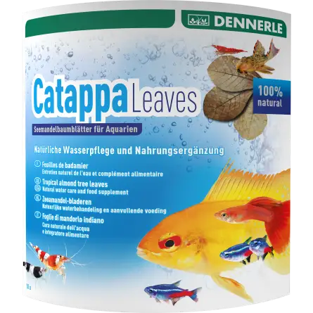 DENNERLE - Foglie Catappa - 10 Pz - Foglie Badamier