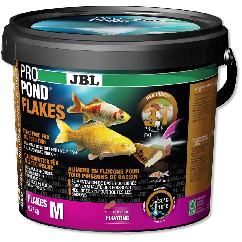 Pond fish food store flakes