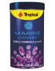 TROPICAL - Marine Power Garlic - 250ml - Alimento en Pellets para Peces Marinos Tropical - 1