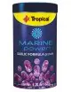 TROPICAL - Marine Power Garlic - 1000ml - Pellet Food for Tropical Marine Fish - 1