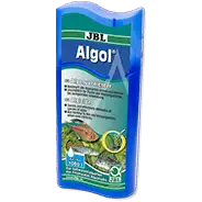 Anti Algae