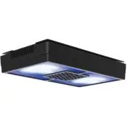 Iluminação LED Ecotech Marine