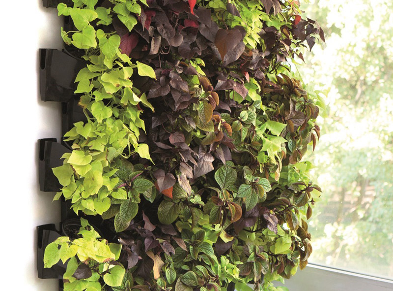 AQUAEL - Versa Garden Module - Green wall