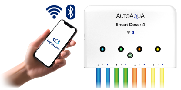 Doppia connettività WiFi e Bluetooth