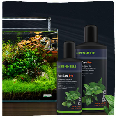 Category: Freshwater Aquarium Supplements