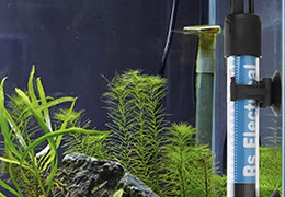 Comment bien chauffer son aquarium ?